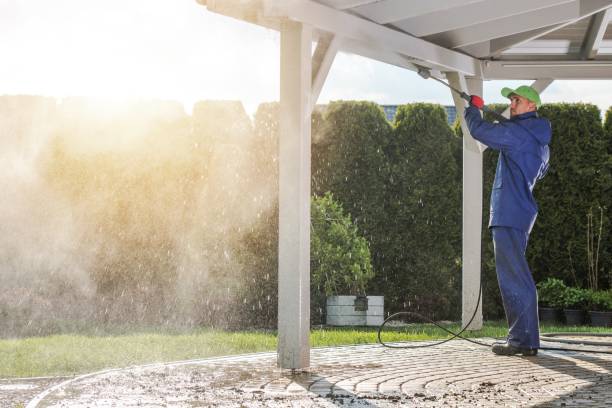 Best Driveway Cleaning and Restoration in Mendon, IL